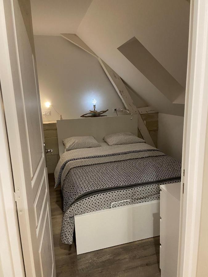Appartement Du Chateau De La Caillerie Avoine エクステリア 写真